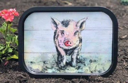 Pig Metal Tray